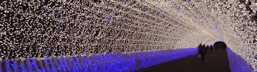 photo credits: http://www.nagashima-onsen.co.jp/page.jsp?id=13894